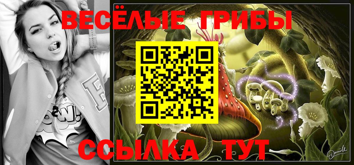 Псилоцибиновые грибы ЛСД  Вход с VPN  Алексин 