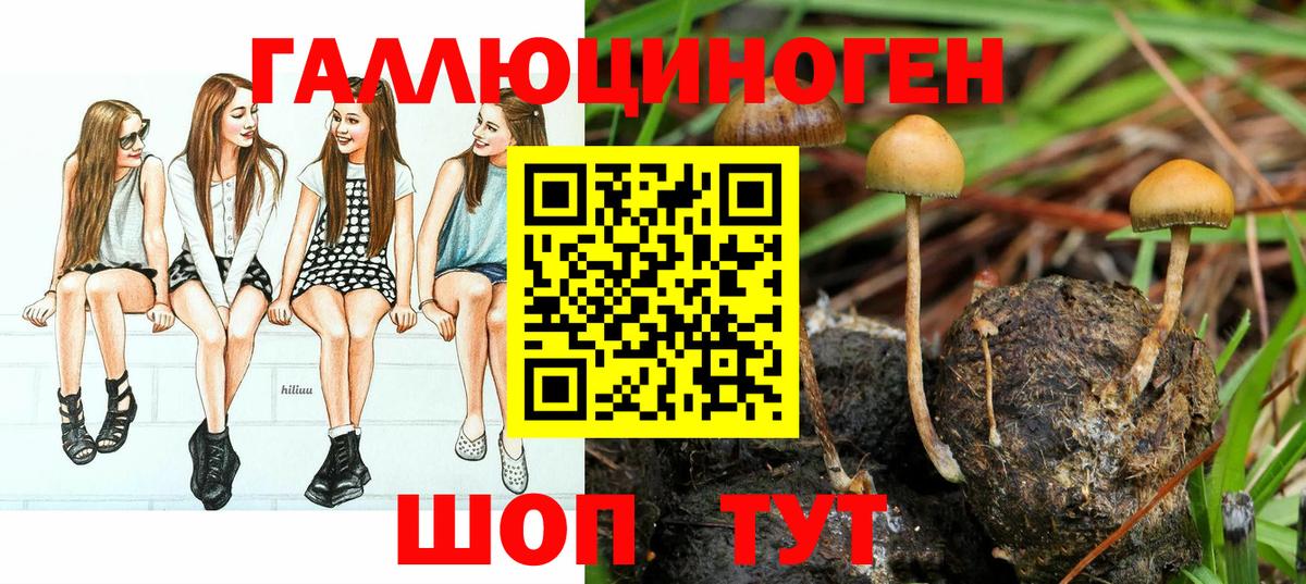 Галлюциногенные грибы мухоморы  Вход с VPN  Алексин 