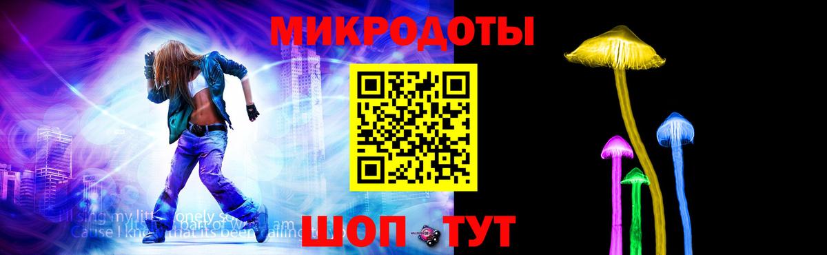 Галлюциногенные грибы Psilocybe Алексин